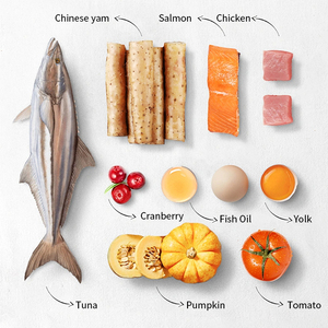 Tiras de aperitivos de carne de marca independiente para gatos orgánicos personalizados para <span class=keywords><strong>problemas</strong></span> <span class=keywords><strong>gastrointestinales</strong></span> gatos - Product Image 3