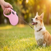 Tali Anjing Grosir Otomatis Satu Tombol Retractable Anti-Ledakan Plastik Sederhana Tali Tarik Anjing