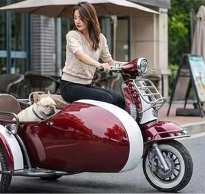 Motocicleta con Sidecar 2026, Triciclo Eléctrico Plegable de 3 Ruedas con Sidecar de Carga, Scooter, <span class=keywords><strong>Bicicleta</strong></span>, <span class=keywords><strong>Kit</strong></span> de Sidecar para Perros, Niños, Chopper - Product Image 3
