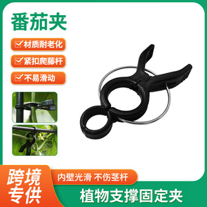 Clip rond en plastique pour plantes avec anneau métallique, support durable pour plantes grimpantes - Product Image 2