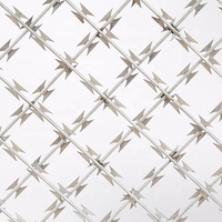 Clôture soudée de panneau de grille de rasoir de maille de rasoir
