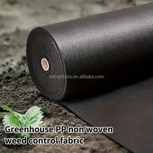 Toile non-tissée respirante en PP pour agriculture, paillis et bâche anti-mauvaises herbes, couverture en polaire respirante découpée sur mesure, moulée en plastique - Product Image 6