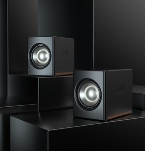 SW-20 150W Monitores de <span class=keywords><strong>Estudio</strong></span> Profesionales para Música, Kit de Micrófono de Grabación, Equipo de Micrófono, Altavoz - Product Image 2