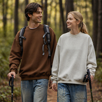 Sweat-shirts à capuche personnalisés OEM de haute qualité 350g pour hommes, streetwear, LOGO vierge, épais, oversize, unisexe, couleur unie, broderie 3D printemps