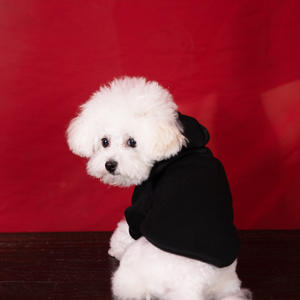 Vêtements pour chiens de petite, moyenne et grande taille, en coton mélangé de luxe, personnalisés en gros, imprimés Halloween/printemps, vêtements d'hiver/printemps, sweat à capuche - Product Image 4