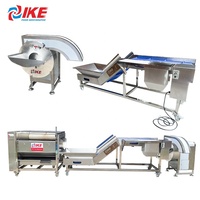 Commerciële Kleine Fruitverwerkingsmachine Nieuwe Staat Aardappelwasmachines Voor Taro Voor De Productie Van Zoete Snoep