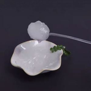 Texapon Sles N70 Química Texapon N70 (Sles 70) Prix Un Galon - Product Image 3