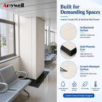 Panneaux de revêtement mural intérieur Amywell en HPL moderne, imperméables, ignifuges, isolants thermiquement et antibactériens, 12 mm, pour hôpitaux, gymnases, salles