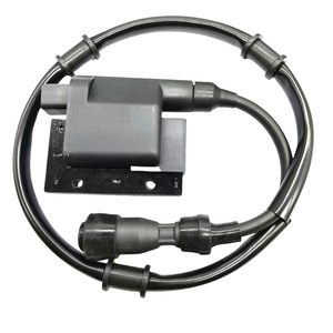 Bobina de Encendido Jilong 3526, Transformador de Alto Voltaje para Motocicletas Sanyang Jiumei Xunyi 250 Husky 300 Walker, Repuesto - Product Image 1