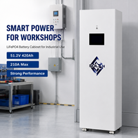 Armoire de stockage d'énergie mobile LiFePO4 avec roues 51,2V 420Ah pour stockage solaire hors réseau