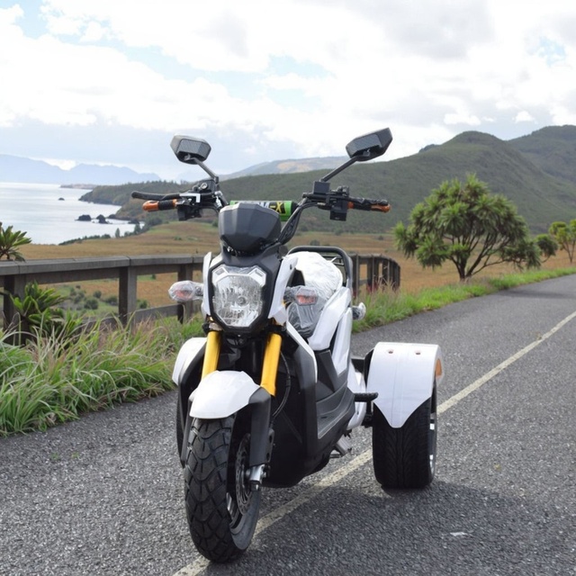 72V Electric 3-Wheel Trike Scooter/Tricycle 1500W 50-70km/h 2-Passenger Open Body Design Front Disc Brakes 70-90km Range CE
