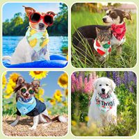 Bandana et bavoirs de luxe ajustables en velours côtelé et polyester pour chiens et chats, fabrication OEM/ODM