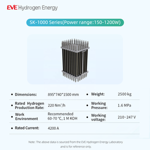 200Nm/h EVE水素エネルギー1MW AEM水電解アニオン交換膜非貴金属触媒高純度99.999% - Product Image 2