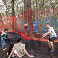 Trampoline commercial pour sommet d'arbre, équipement de parc d'aventure extérieur avec filet de cordes pour enfants et adultes, designs personnalisés Netstribe