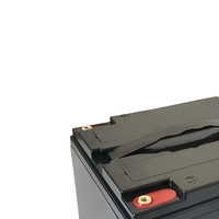 Produk Penjualan Laris Baterai Ion Lithium 12V 100ah Lifepo4 Baterai untuk RV/Lampu Jalan Tenaga Surya