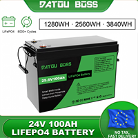 Batterie au lithium solaire 12V 24V 100Ah 200Ah à décharge profonde LifePo4 pour voiturettes de golf et appareils électroménagers – Stock UE Pologne
