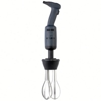 Mixeur plongeant professionnel en acier inoxydable 500W électrique avec 20 réglages de vitesse pour usage hôtelier