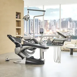 VIPクリニックの歯科医用スケーラー付き自動車プロセス塗装技術歯科用椅子を使用した黒と銀