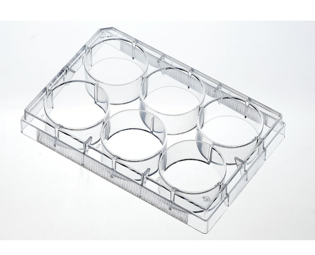 High Quality Sterile Medical Plastic PS Cell Culture Plates 6 12 24 48 96 Wells TC Treated Tissue Culture Plates