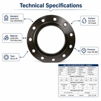 Bride à enfiler RF en acier inoxydable ASTM A182 F304 304L, classe 150 300 600, ASME B16.47, trempée, DN200 DN300 DN400 DN500