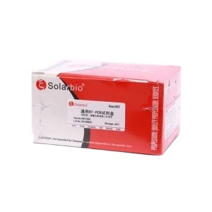 Solarbio <span class=keywords><strong>agarose</strong></span> <span class=keywords><strong>GEL</strong></span> 2% 15Wells 10*10cm 5mm (tbe) สำหรับการวิจัยทางวิทยาศาสตร์ - Product Image 3