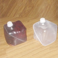 Écologique De Qualité Alimentaire Non Toxique Aucune Infiltration Transparent LDPE Cheertainer Conteneur