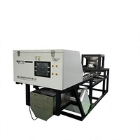Trieuse de noix de type bande WENYAO WYB1, couleur noyer, pour la séparation des coquilles mélangées, des impuretés et des noyaux de noix de différentes qualités, machine de traitement des noyaux de noix