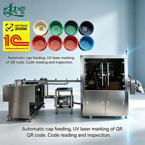 Machine de marquage laser UV à alimentation automatique avec autofocus pour le codage QR/date des bouchons de bouteilles et inspection visuelle - Product Image 1