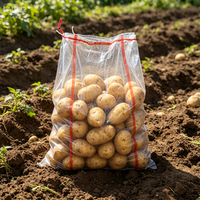 Sacs tissés en PP transparents à bords rouges pour l'emballage des pommes de terre