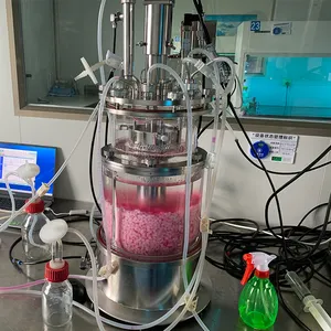 Microcarer coltura cellulare bioreattore automatico laboratorio vetro fermentatore bioreattore con PLC