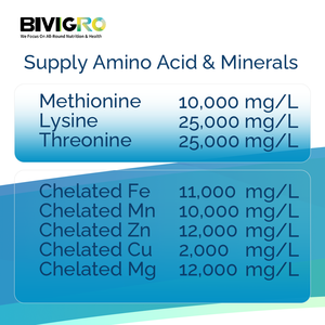 สารอาหารเสริมสำหรับการเพาะเลี้ยงสัตว์น้ำชนิดกรดอะมิโนเชลเลตและแร่ธาตุอินทรีย์ในรูปแบบของเหลว เพื่อช่วยในการเปลี่ยนเปลือกของกุ้งและส่งเสริมการเจริญเติบโตของ<span class=keywords><strong>ปลา</strong></span> - Product Image 4