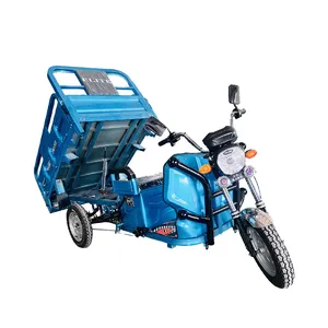 Kualitas tinggi dan beban tinggi 1000W kargo pertanian sepeda roda tiga becak listrik kargo roda tiga
