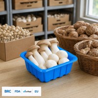 Barquette jetable de qualité alimentaire pour animaux de compagnie, barquette pour champignons, fraises, myrtilles, taille personnalisée, multifonctionnelle, à nervures renforcées, OEM
