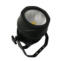 Lumière LED extérieure de haute qualité 100Wf COB Blinder Light DMX Équipement de scène Étanche Par Light Lumière de scène extérieure Dj Light