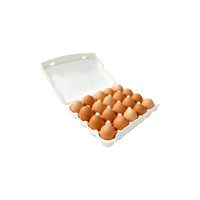 Boîte d'emballage pour 20 œufs en carton moulé biodégradable, antichoc et recyclable, pour la distribution en ferme