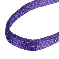 Eslinga Plana de Poliéster de Alta Calidad 5T 15M, Duradera, de Alta Resistencia, Resistente a la Abrasión, con Ojo de Acero Inoxidable Ajustable para
