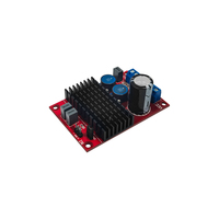 TPA3116 Dijital Güç Amplifikatörü Kartı 100W Mono BTL Çıkışlı Ses Amplifikatörü Modülü DC12-24v 3 Ay Garanti