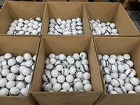Désodorisant personnalisé pour chaussures de golf, éliminateur d'odeurs, rafraîchisseur pour baskets, chaussures de sport, sacs de sport, vestiaires, contrôle de l'humidité 60-90 jours 2