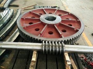 Grande Ingranaggio a <span class=keywords><strong>Vite</strong></span> <span class=keywords><strong>Senza</strong></span> <span class=keywords><strong>Fine</strong></span> in Lega per Trasmissione Industriale - Product Image 4