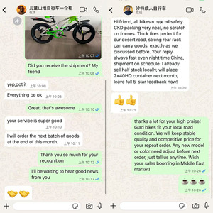 Vélo <span class=keywords><strong>BMX</strong></span> <span class=keywords><strong>Freestyle</strong></span> TENGMAO en acier au carbone, robuste, professionnel, OEM ODM, logo personnalisé, pour les grossistes - Product Image 5