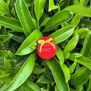 Wholesale Custom Hand-Knitted Crochet Toys Small Blessing Bag <strong>Key</strong> <strong>Chain</strong> Pendant Crochet <strong>Hook</strong> Children's Gifts Knick-Knacks - Product Image 5