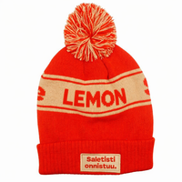 Bonnet tricoté rétro à pompon contrastant, multicolore, rayé, avec logo LEMON, polyvalent, chaud, pour l'hiver, idéal pour un style urbain aux tons vifs
