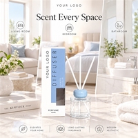 Diffuseur de parfum liquide écologique pour la maison et la voiture, motif personnalisé, 100 ml, avec emballage sur mesure