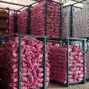 Tươi Tỏi Trắng Nhà Máy Bán Buôn 10Kg/20Kg Túi Lưới/Carton Trung Quốc Tỏi Nhà Cung Cấp Và Tươi Bóc Vỏ Tỏi Bán Buôn Xuất Khẩu - Product Image 4