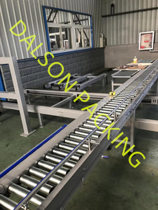 Convoyeur à chaîne motorisé, fabricant et fournisseur de convoyeurs à rouleaux, usine de convoyeurs à rouleaux motorisés - Product Image 6