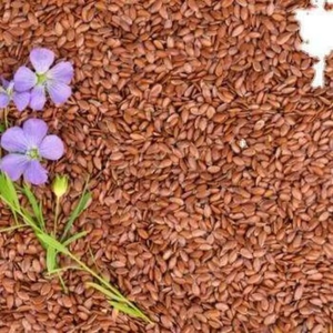 Semillas de Lino Crudas 100% Naturales a Granel, Semillas de Lino de Alta Calidad para Suplementos Alimenticios y Extracción de Aceite - Product Image 2