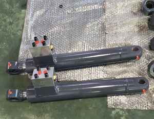 Cilindros hidráulicos atuantes dobro do pistão Cilindros hidráulicos do Ram hidráulicos - Product Image 4