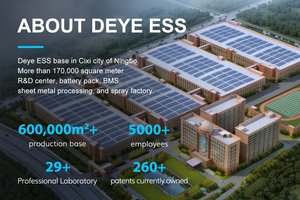 Batería Deye ESS LiFePO4 SS-F5 de 5kWh en Stock en la UE, Solución de Almacenamiento de Energía Doméstica de Alto Rendimiento para Sistemas Solares Híbridos - Product Image 5