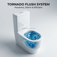 WC en céramique Yingjie à chasse d'eau Tornado, à un trou, avec siphon en P de 180 mm, 640x370x820 mm, certifié WaterMark, pour salle de bain d'hôtel, vente en gros