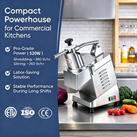 Welldone Multifunctionele Elektrische Groente- en Fruitsnijder, -rasp en -aardappelhakker, Commerciële Maïssnijder, 220V Motor, 500KG/H, Aanbieding